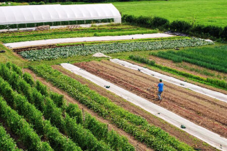 Breaking Down the Broadfork Image